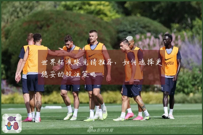 世界杯滚球竞猜推荐，如何选择更稳妥的投注策略