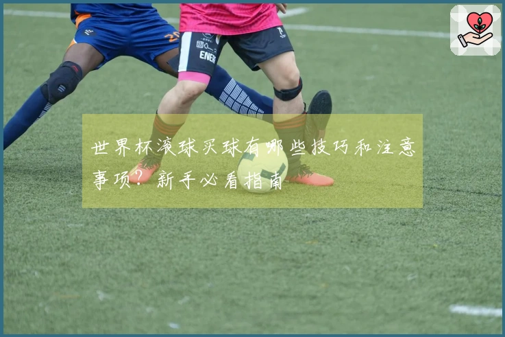 世界杯滚球买球有哪些技巧和注意事项？新手必看指南