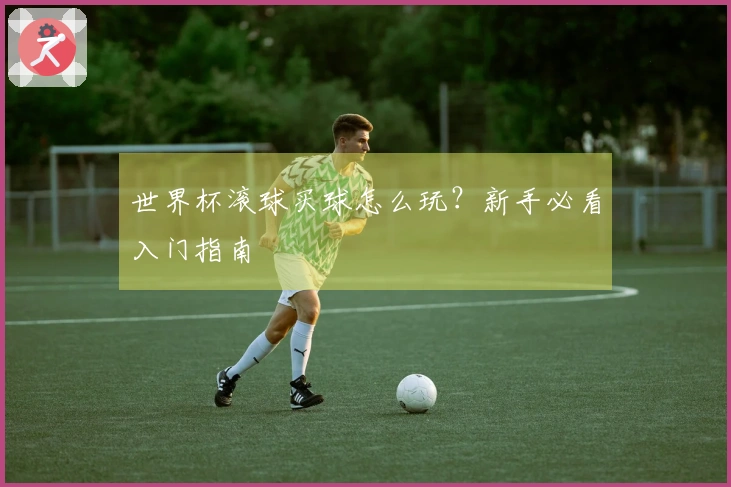 世界杯滚球买球怎么玩？新手必看入门指南