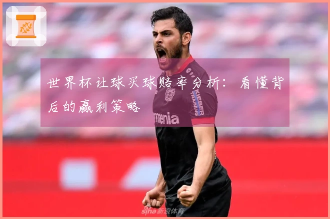 世界杯让球买球赔率分析：看懂背后的赢利策略
