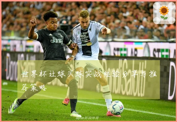 世界杯让球买球实战经验分享与推荐策略
