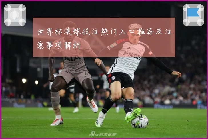 世界杯滚球投注热门入口推荐及注意事项解析