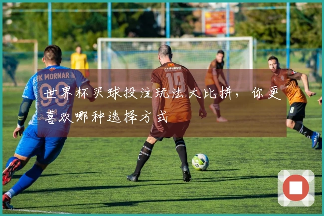 世界杯买球投注玩法大比拼，你更喜欢哪种选择方式