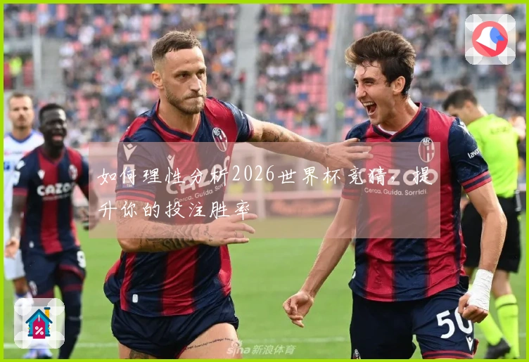 如何理性分析2026世界杯竞猜，提升你的投注胜率