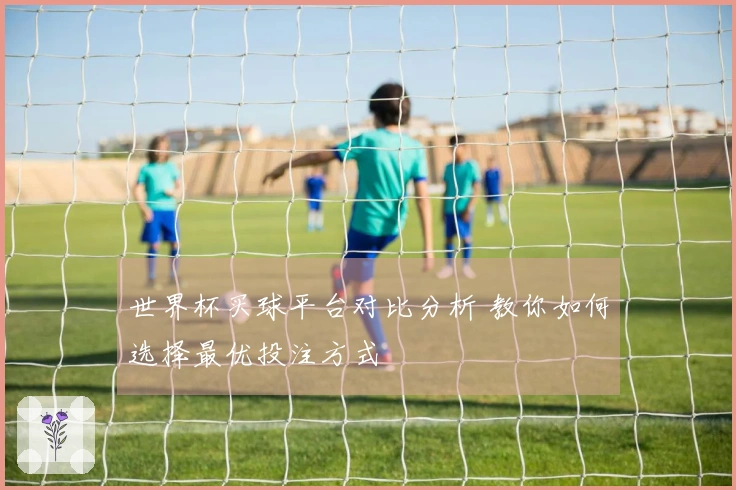 世界杯买球平台对比分析 教你如何选择最优投注方式