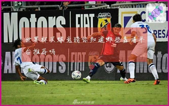 世界杯买球竞猜你知道哪些靠谱平台推荐吗