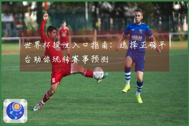 世界杯投注入口指南：选择正确平台助你玩转赛事预测