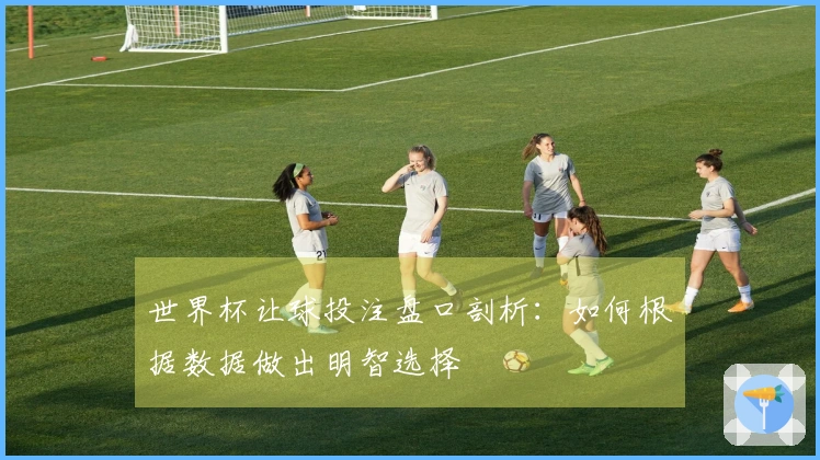 世界杯让球投注盘口剖析：如何根据数据做出明智选择