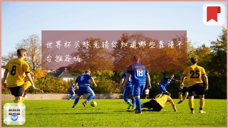 世界杯买球竞猜你知道哪些靠谱平台推荐吗