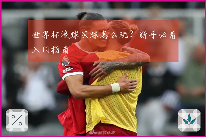 世界杯滚球买球怎么玩？新手必看入门指南