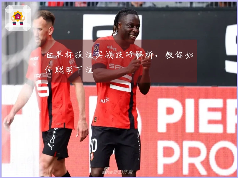 世界杯投注实战技巧解析，教你如何聪明下注