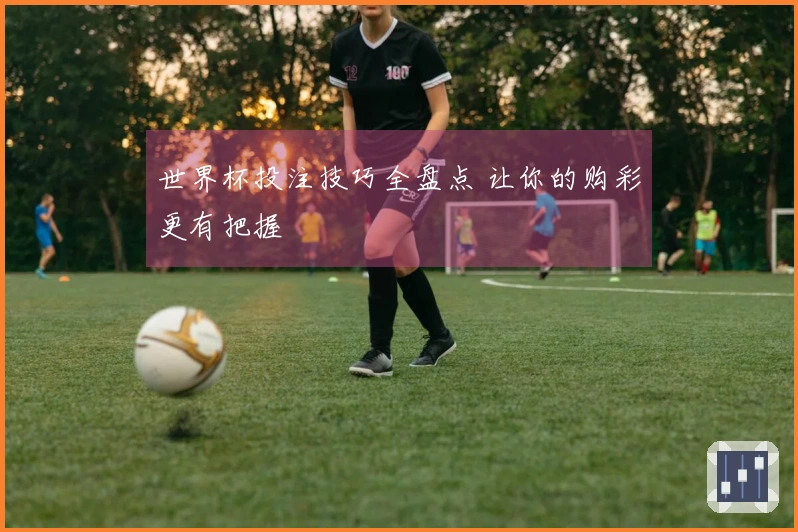 世界杯投注技巧全盘点 让你的购彩更有把握
