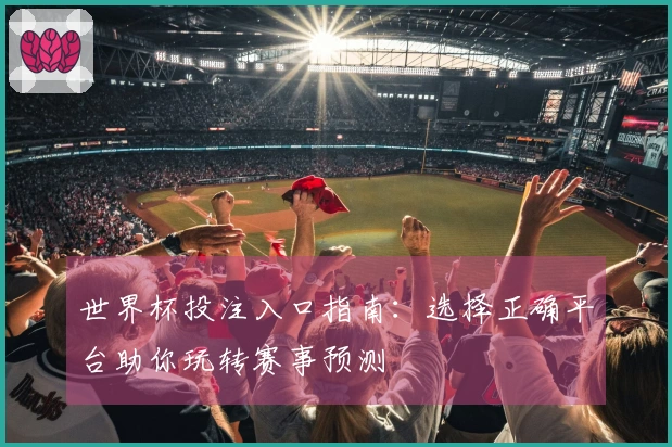 世界杯投注入口指南：选择正确平台助你玩转赛事预测