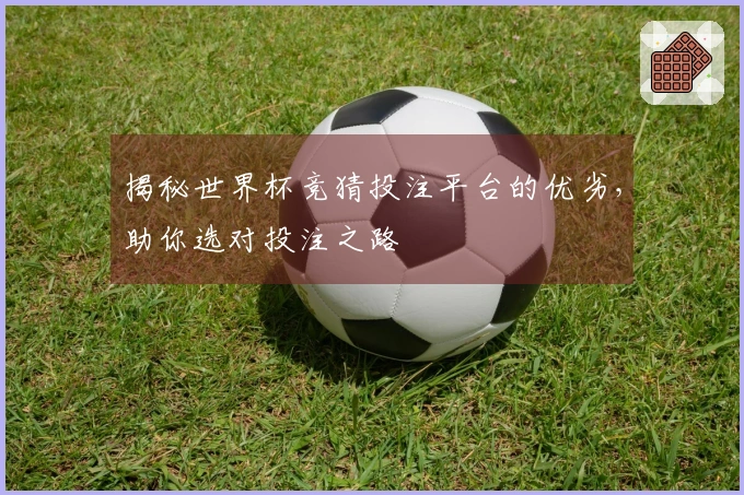 揭秘世界杯竞猜投注平台的优劣，助你选对投注之路