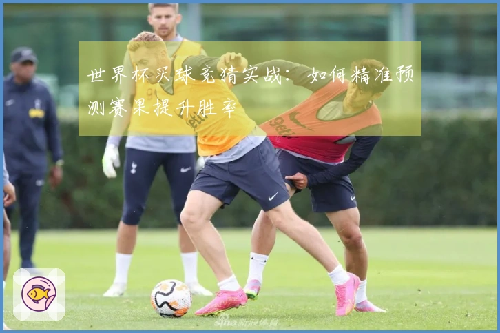 世界杯买球竞猜实战：如何精准预测赛果提升胜率